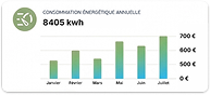 Consommation énergétique annuelle — 8405 kWh